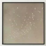 Ethereal Flock White silhouettes on warm beige Textured art wall art
